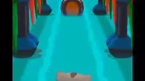 Cat run