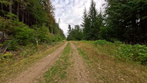 Cotton Rd (Mabel FSR) 36km to end of road (as at September 2024