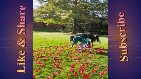 Feminists at SLU_Official were caught on camera destroying a conservative group's pro-life memorial.