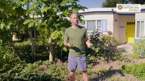 Turn Your Yard into a Garden | How to Grow More Food