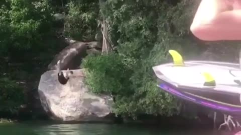 Guy black shorts rope swing lands on back