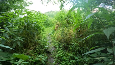 🍁 Discovering The Ottawa River #Pathway Recreational Trails 🌴