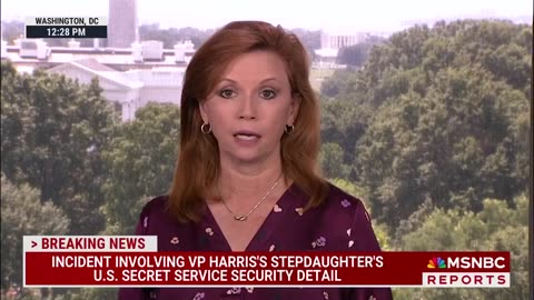 Incident involving VP Harris's stepdaughter's U.S. Secret Service security detail.