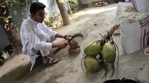 The Weirdest Street Food in Bangladesh_! _ Cumilla Vlog