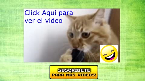 Videos de risa😂😂😂😜