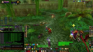 Turtle Wow - MM Weekly ZG - 11 September - paladin POV