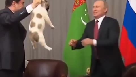 putin love dogs😍😍😍🥰🥰