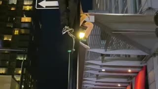 Fans climb light poles after the Habs win Game 6 on June 24