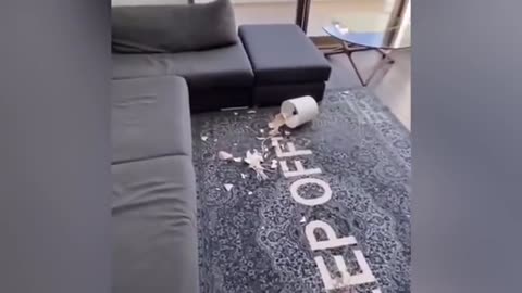 Cats and Dogs Reaction To Toy - Cute, Funny and Smart