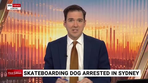 Can’t make this stuff Skateboarding dog arrested outside Sydney Opera House 🤯.