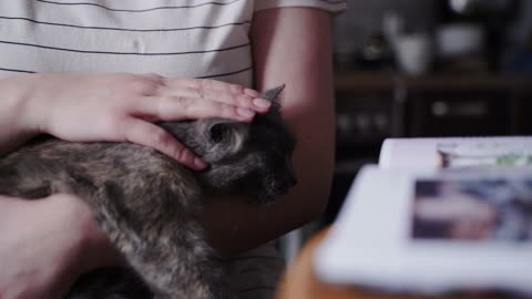 A Woman Petting Her Cat