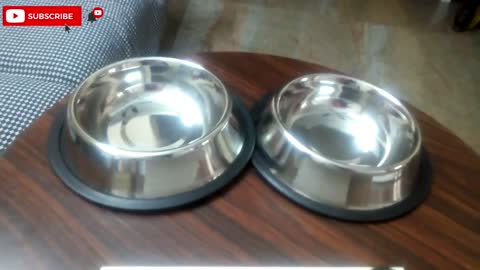 Unboxing New Food Bowl For Alia - #dog #rajapalyam #alia #dogbreed #indiandoglovers