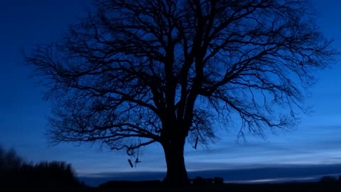 BEAUTIFUL ASTRONOMY TIMELAPSE OF SKY AT NIGHT..