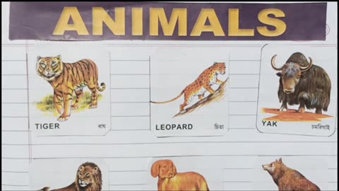 Animals name_animals name in English and Bengali