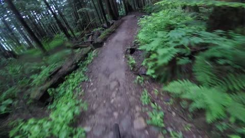 Mountain Biker Has Close Encounter With Bear