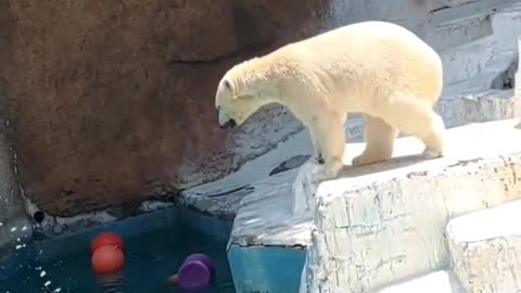 What you need for joy... a bucket