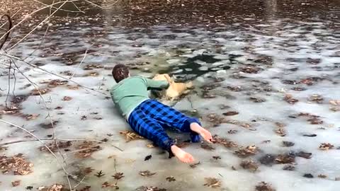 Golden Retriever Saved from Frozen Murky Pond