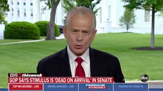 Peter Navarro says Pelosi lost him on stimulus for illegals