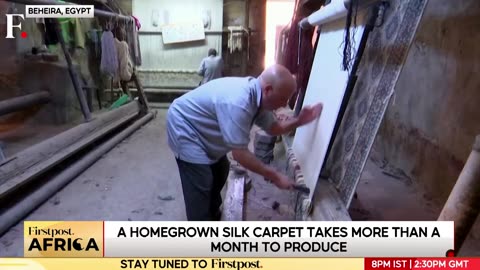 Modern-Day Silk Revolution Booms Carpet Business In Egypt's Beheira| Firstpost Africa