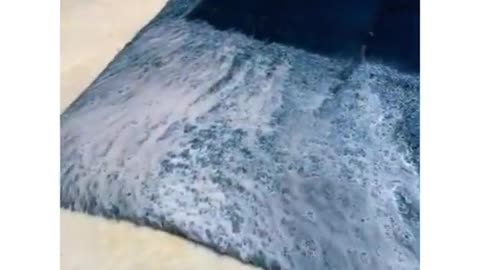 Rug cleaning video satisfying