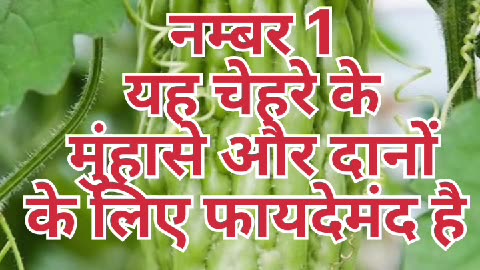 miraculous benefits of eating bitter gourd