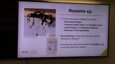 Seasonal Distribution of Honeybee Pathogens