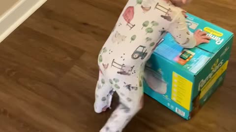 Baby Tumbles Over Diaper Box