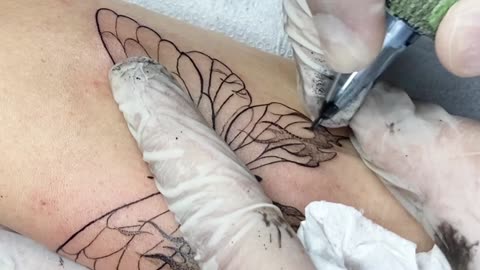 Tatuagem borboleta delicada - Butterfly Tattoo fine line timelapse