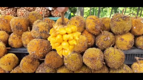 Wild Jackfruit