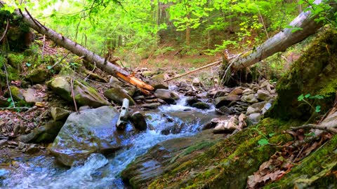 A Rocky cascade in the woods.