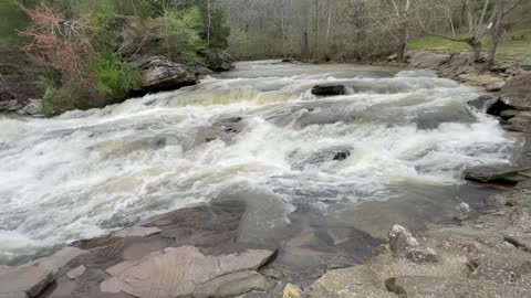 Turkey Creek Nature Preserve - Pinson, Alabama