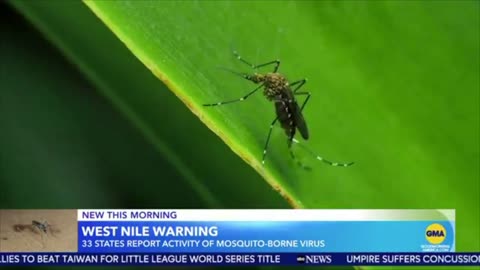 West Nile Virus - Government to Spray Outdoors, Issue “Voluntary Curfews”, and Close Public Areas