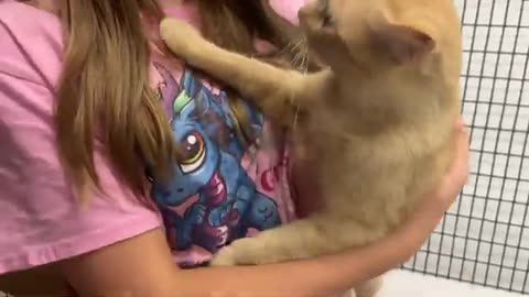 Shelter kitty purrs and kisses and snuggles!