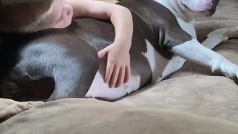 Precious cuddle time between doggy and human best friend