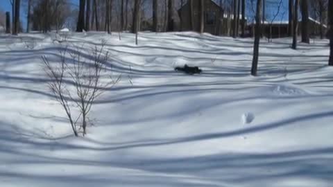 Sliding on Snow after Freezing rain.