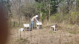 New home for bees. (Extended version)