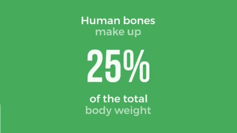 Human Bones