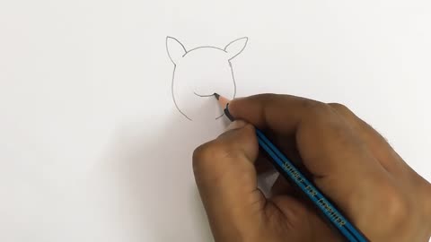 how to draw kangaroo step by step