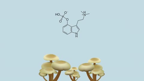 Psilocybin might be the cure for depression