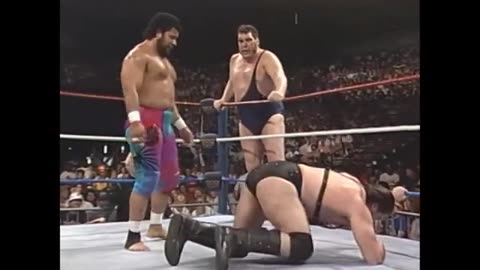 (1990.01.23) Andre the Giant & Haku vs Demolition - WWF