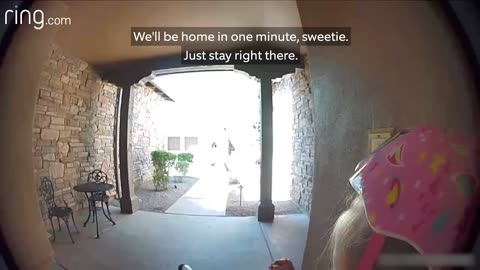 Taylor Talks to Her Neighbor On Ring Video Doorbell After Running Away From a Bobcat _ RingTV