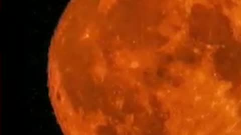 There's still time to see it! #SuperMoon #Space BBC News