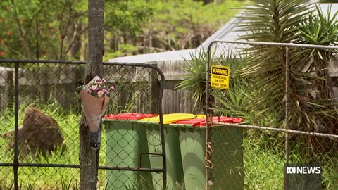 Police yet to decide fate of dogs that killed meter reader Kane Minion south of Brisbane | ABC News