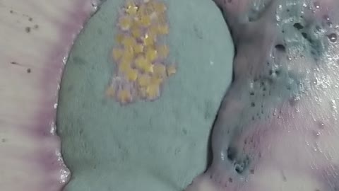 Hippo bath bomb