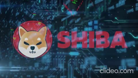 Shiba Inu Can make you Millionaire