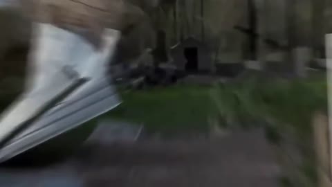 Initial Dog