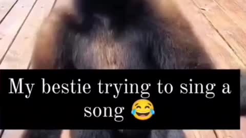 My bestie trynig to sing a song