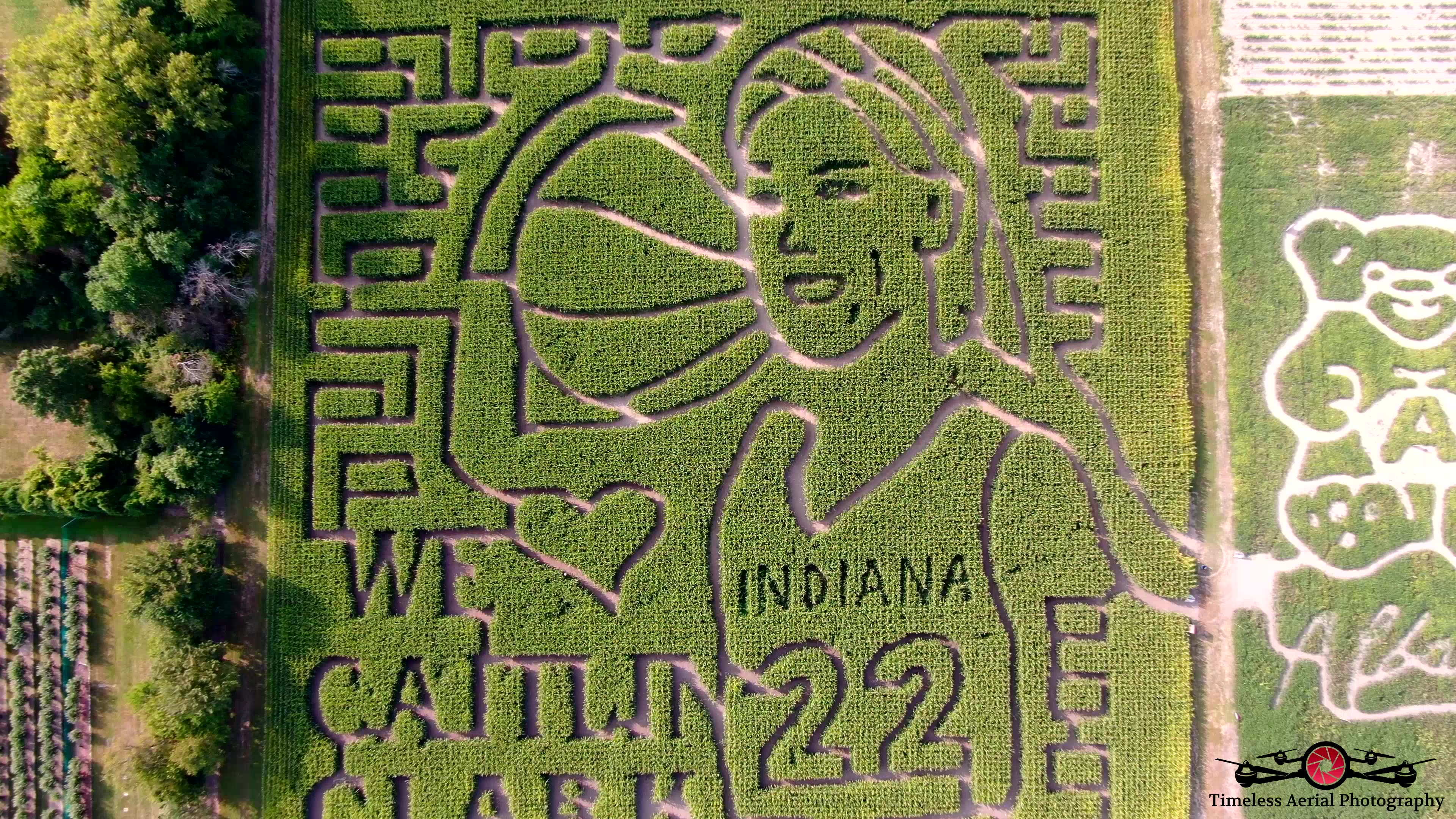 Caitlin Clark Corn Maze At County Line Orchard Tour Celebrating Women's ...