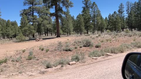 Camping near Tusayan AZ over the years, Grand Canyon