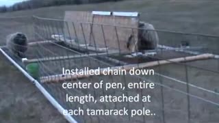 Moveable Sheep Pen